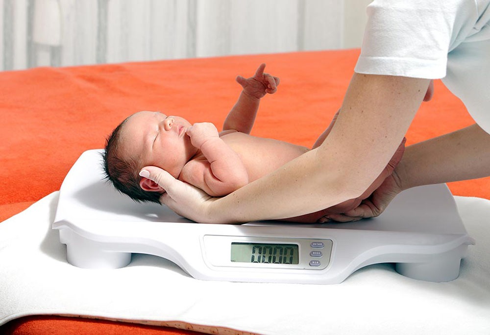 Giải Pháp Dinh Dưỡng Thích Hợp