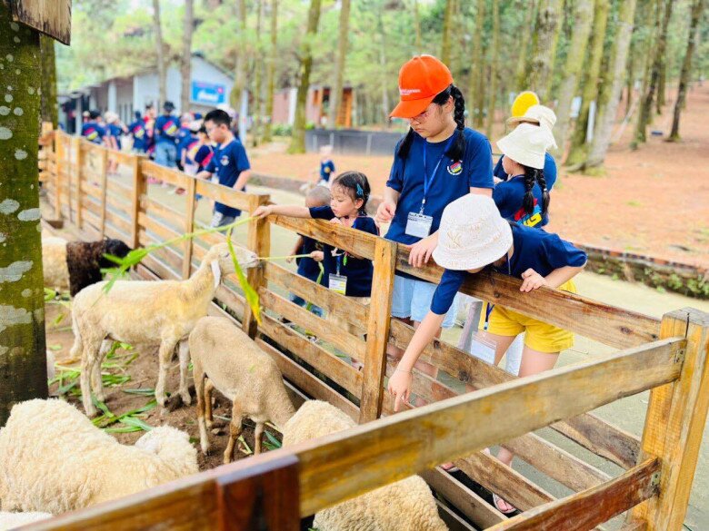 9 Kiểu Chơi An Toàn và Bổ Ích Cho Trẻ